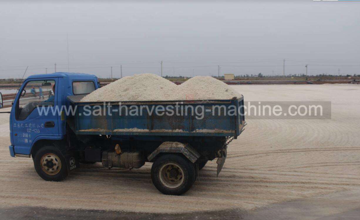 Salt transport truck16