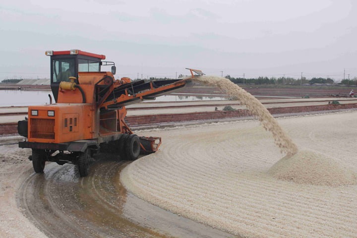 Salt harvester| harvesting machine manufacturer