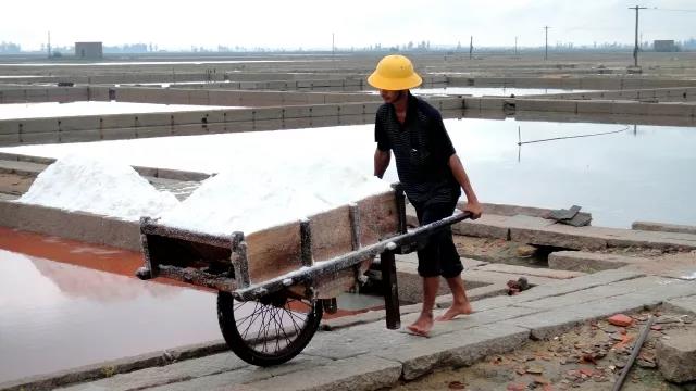Sea salt harvesting with labors