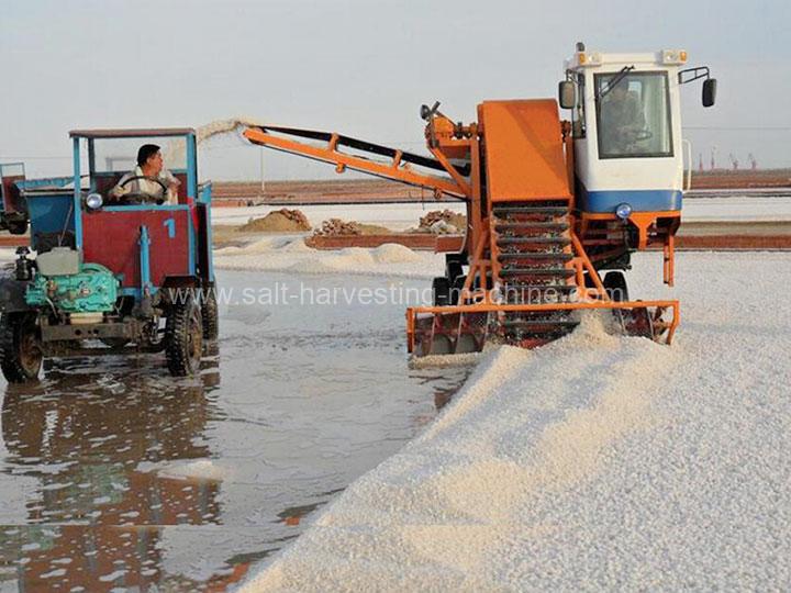 بيع آلة حصاد الملح إلى السنغال