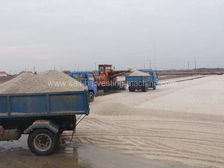 تم بيع اثنين من حصادات الملح إلى غانا